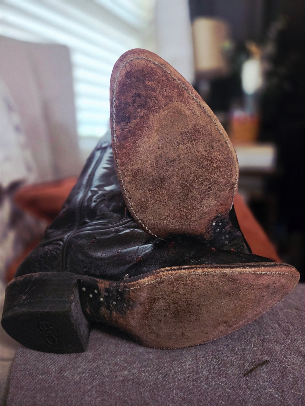 Lucchese Classic 2000 Full Quill Ostrich leather in a Black Cherry. - Picture 8 of 11